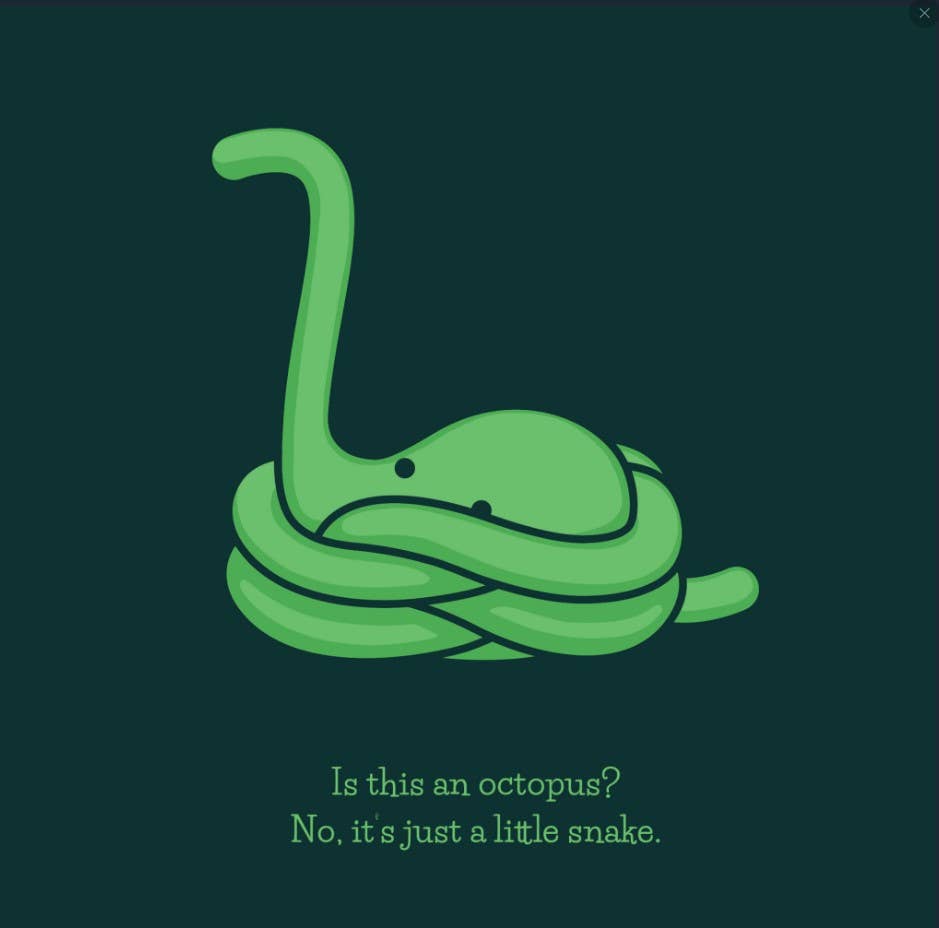 Fourteen Animals That Definitely Aren't An Octopus Children's Book