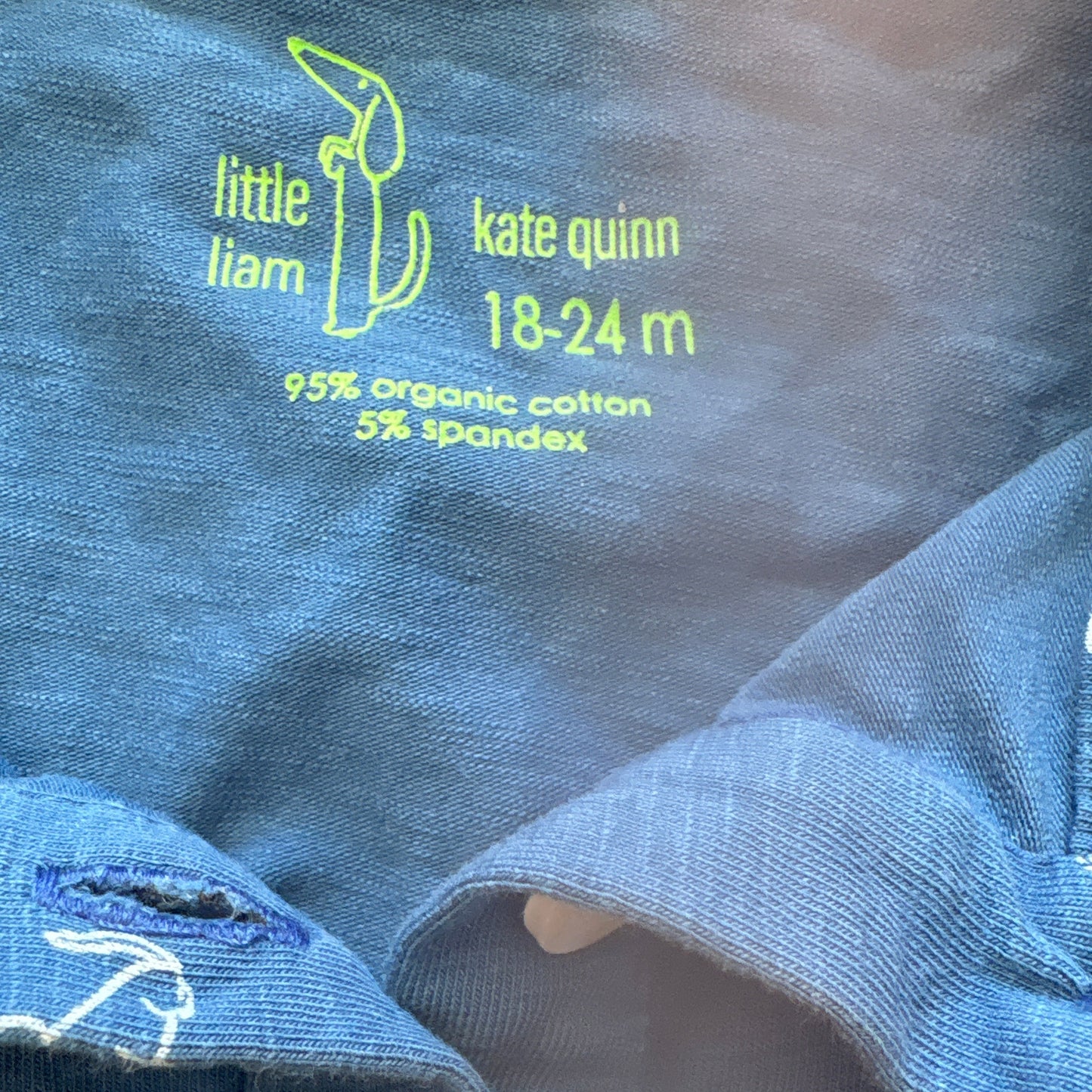 Close-up of a blue baby outfit with text and design details.