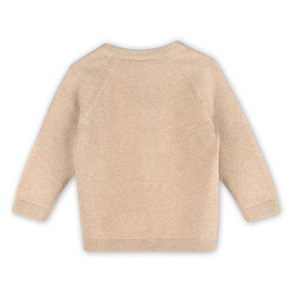 Teddy Bear Applique Baby Raglan Pullover (Organic Cotton)