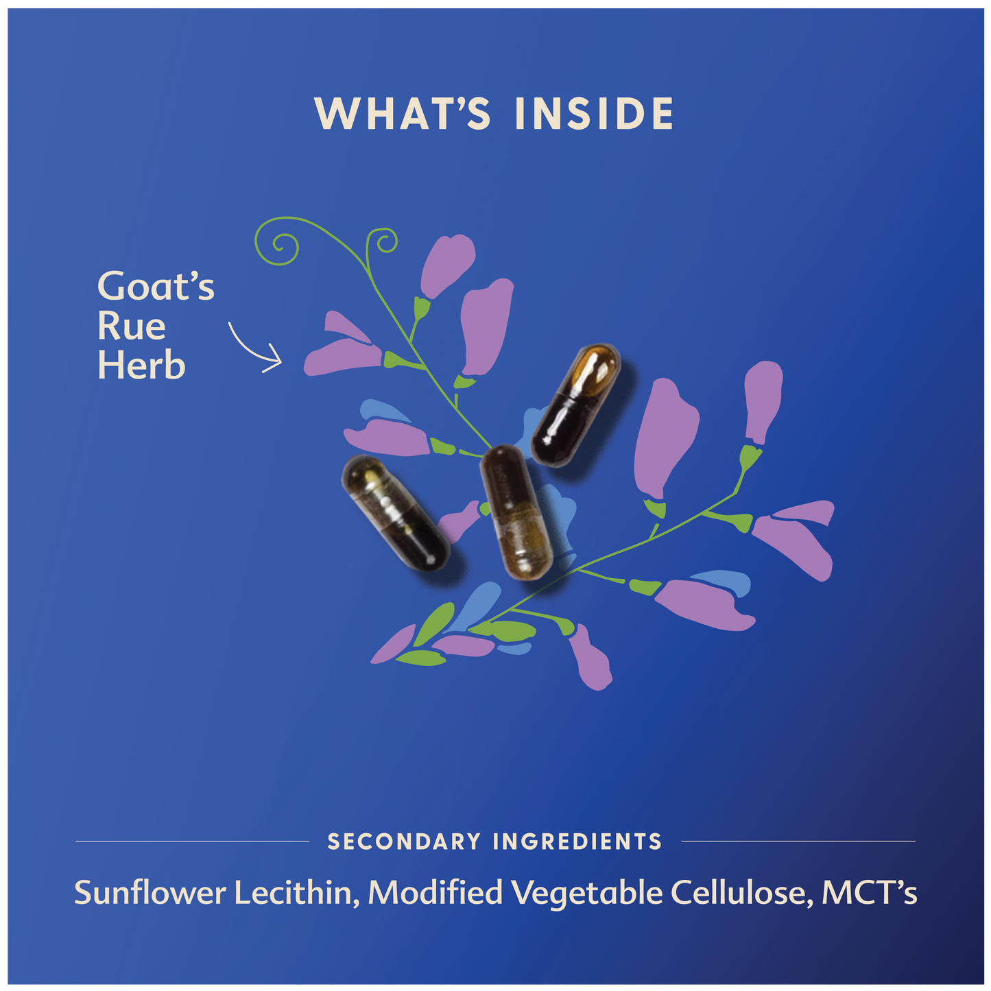 Motherlove Goat's Rue Capsules