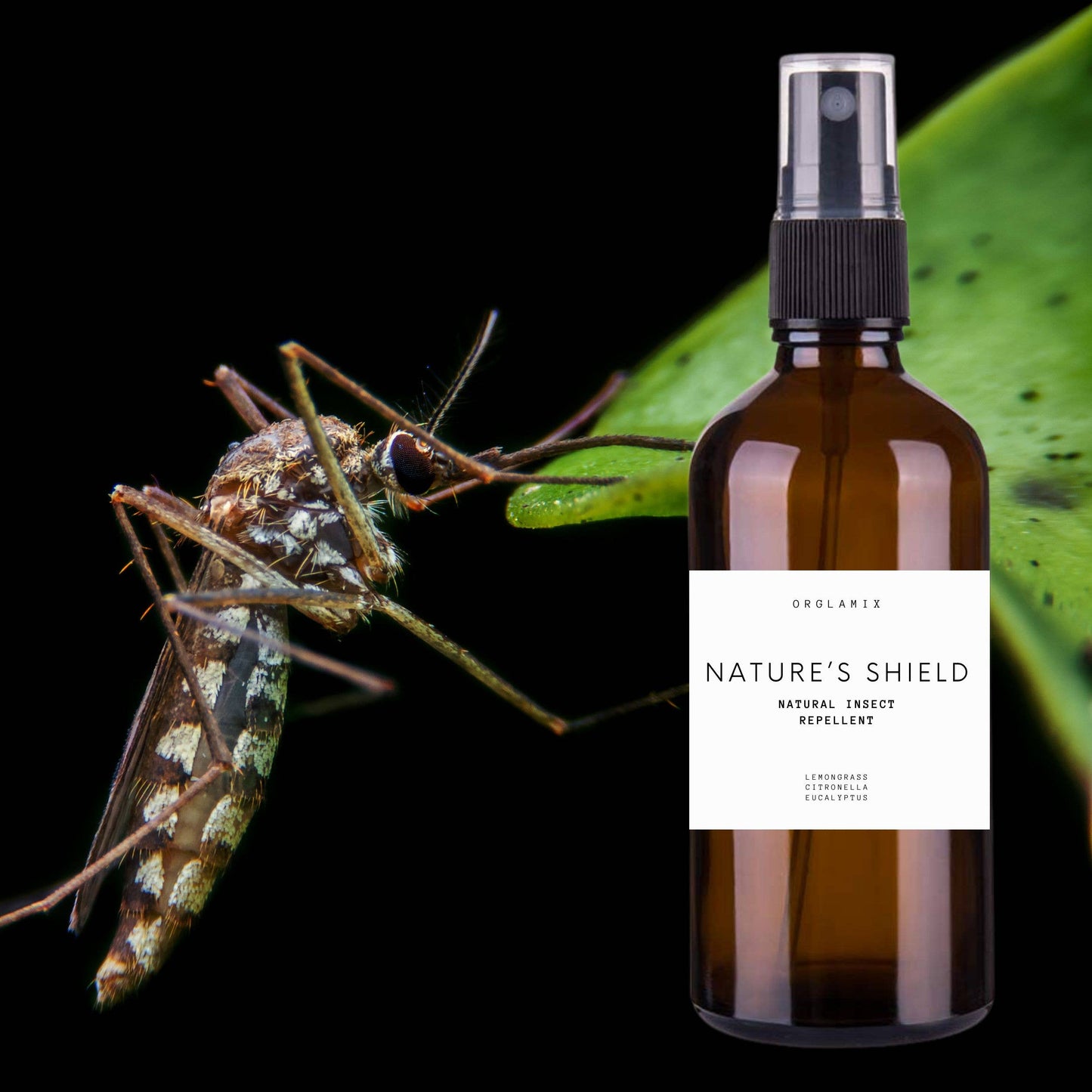 Bug Spray | Natural Insect Repellent