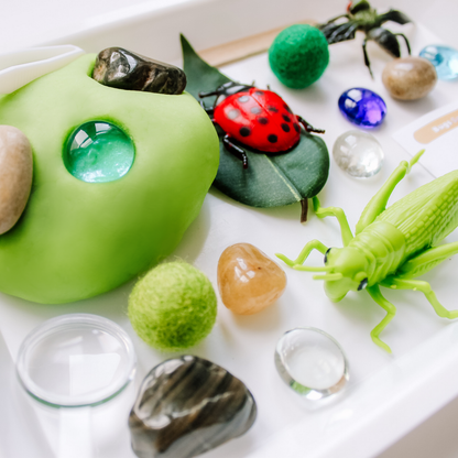 Sensory Kit | Bugs | Anxiety | Sensory Sand