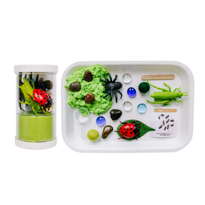 Sensory Kit | Bugs | Anxiety | Sensory Sand