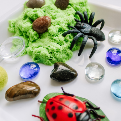 Sensory Kit | Bugs | Anxiety | Sensory Sand