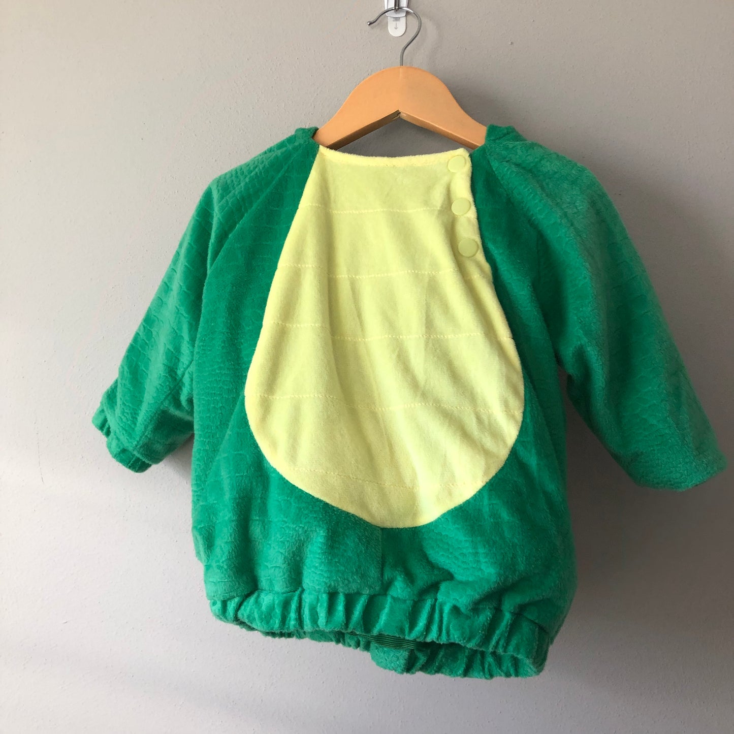 Dinosaur Costume, 12-18M