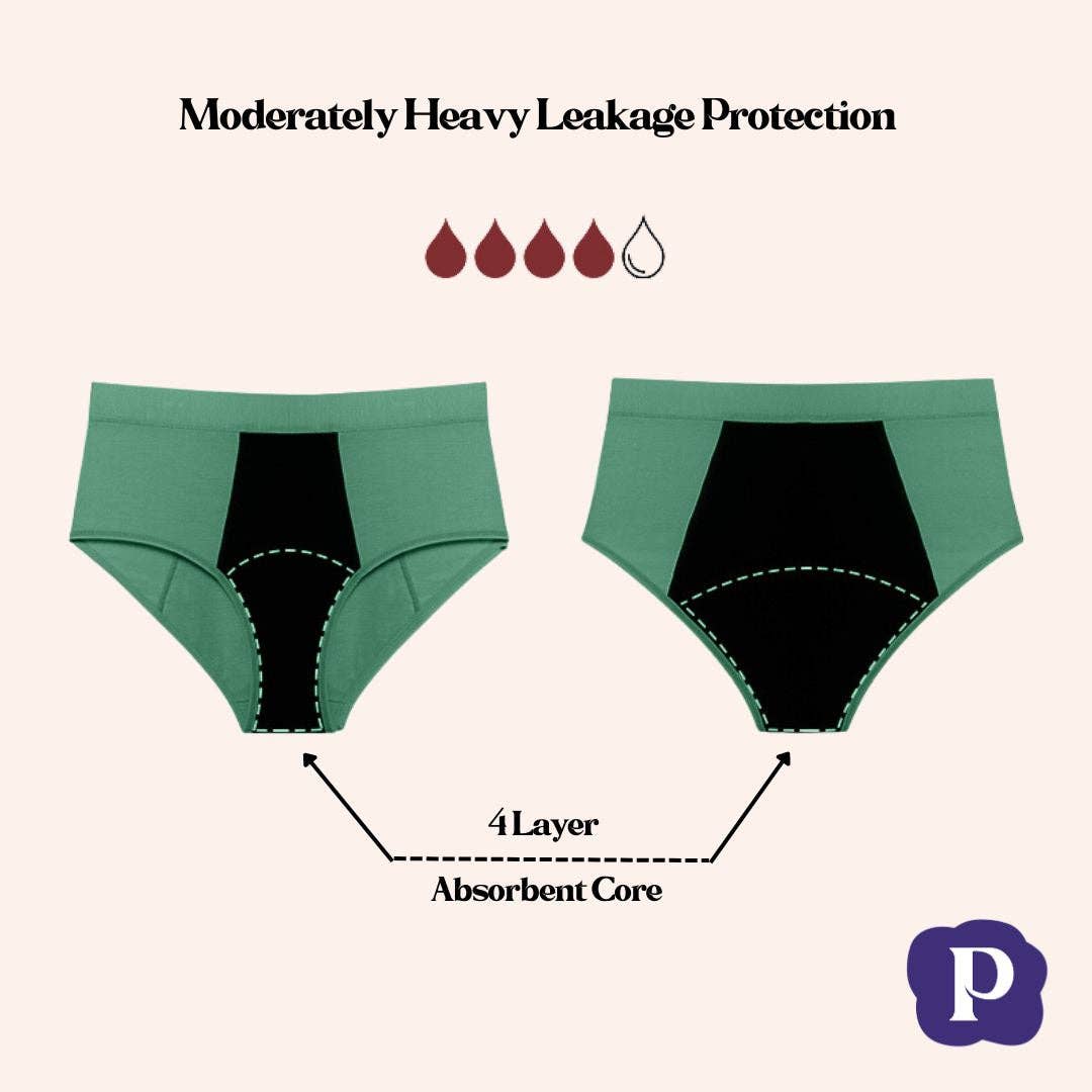 Postpartum Underwear | Leak proof | High Waist