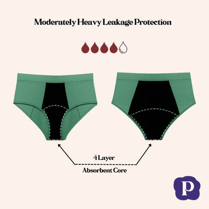 Postpartum Underwear | Leak proof | High Waist