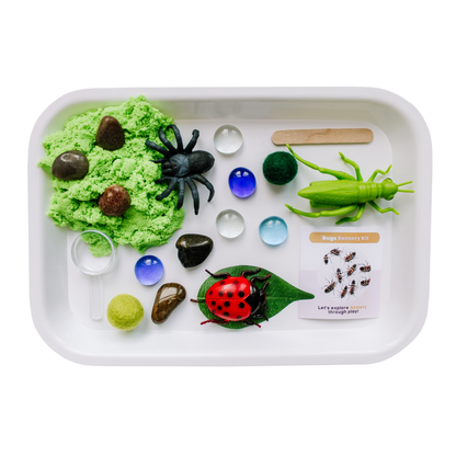 Sensory Kit | Bugs | Anxiety | Sensory Sand