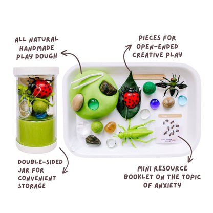 Sensory Kit | Bugs | Anxiety | Sensory Sand