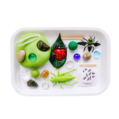 Sensory Kit | Bugs | Anxiety | Sensory Sand